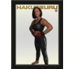 MMA a Fitnes Top Hakutsuru
